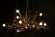 Подвесной светильник Pieter Adam Twiggy PA 871